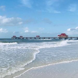 Meet your Posher, Diana